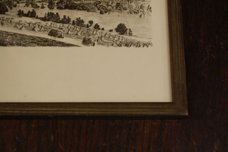 P-1139) Viiralt, trükirepro Viljandi maastik