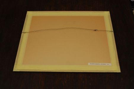 P-1139) Viiralt, trükirepro Viljandi maastik