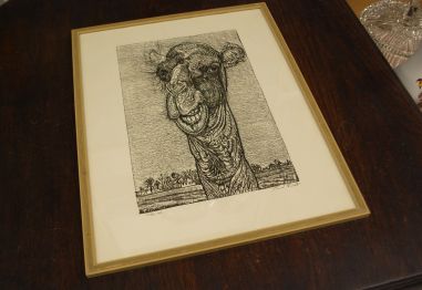 (P-1144) Viiralt, trükirepro Kaameli pea