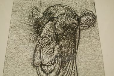 (P-1144) Viiralt, trükirepro Kaameli pea