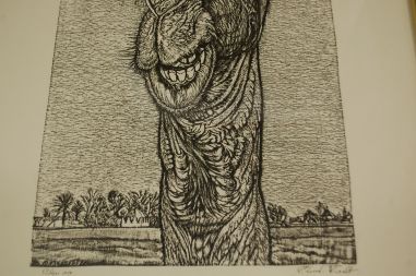 (P-1144) Viiralt, trükirepro Kaameli pea