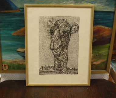 (P-1144) Viiralt, trükirepro Kaameli pea