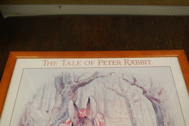 (P-1147/2) Beatrix Potter, raamitud trükk "The Tale of Peter Rabbit"