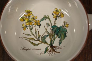 (n-7701/1) Villeroy & Boch Botanica, sangaga suurem kauss, 1tk 2