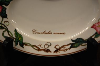 (n-7701/5) Villeroy & Boch Botanica, vaagen serveerimiseks, 1tk