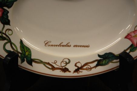 (n-7701/5) Villeroy & Boch Botanica, vaagen serveerimiseks, 1tk