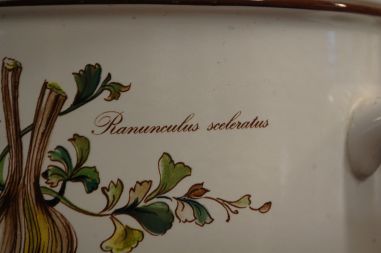 (n-7701/6) Villeroy & Boch Botanica, suur tirin