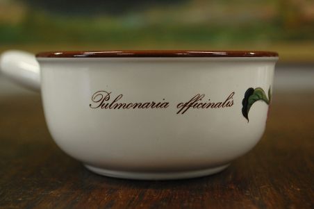 (n-7701/4) Villeroy & Boch Botanica, sangaga väiksem kauss, 1tk