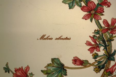 (n-7701/7) Villeroy & Boch Botanica, suur juustualus/ lõikelaud