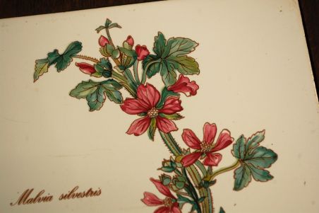 (n-7701/7) Villeroy & Boch Botanica, suur juustualus/ lõikelaud