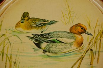 (n-7712) SF, ümar kerge kandik "Pardid" 2