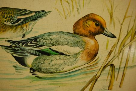 (n-7712) SF, ümar kerge kandik "Pardid"