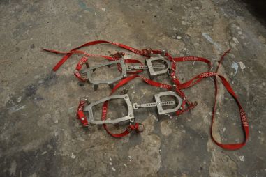 (n-7744/1) Cassin mägironimise kassid