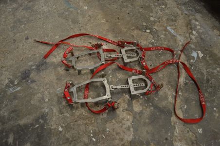 (n-7744/1) Cassin mägironimise kassid