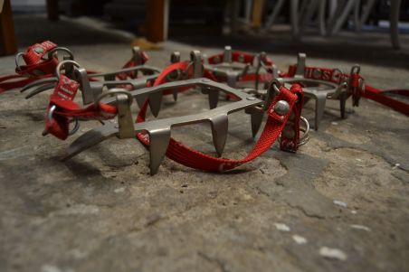 (n-7744/1) Cassin mägironimise kassid