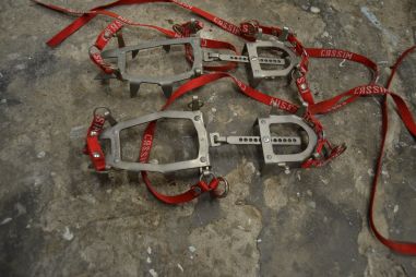 (n-7744/1) Cassin mägironimise kassid