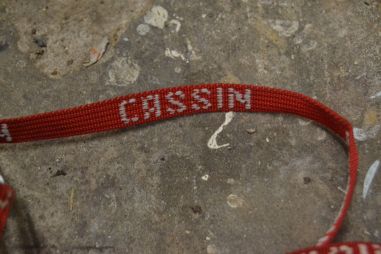 (n-7744/1) Cassin mägironimise kassid