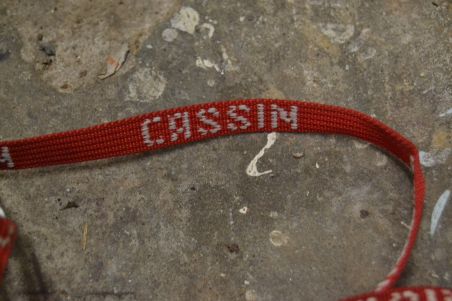 (n-7744/1) Cassin mägironimise kassid