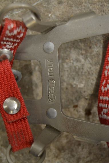 (n-7744/1) Cassin mägironimise kassid