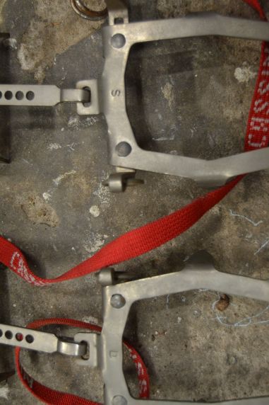 (n-7744/1) Cassin mägironimise kassid