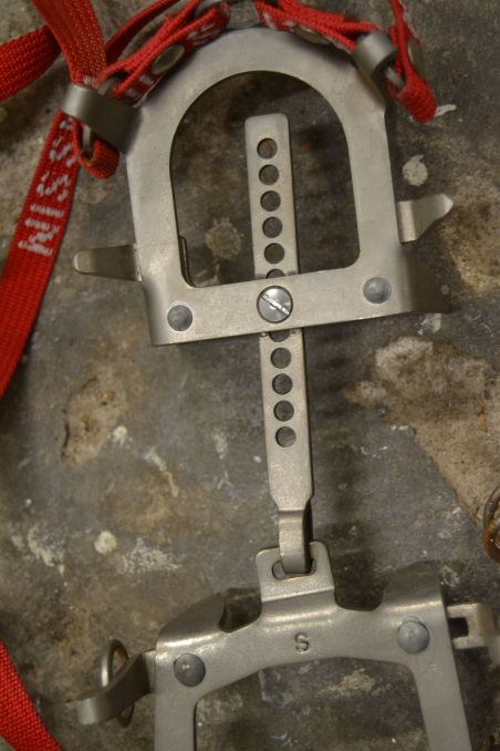 (n-7744/1) Cassin mägironimise kassid