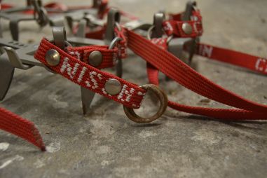 (n-7744/1) Cassin mägironimise kassid