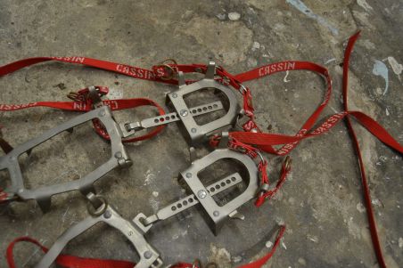 (n-7744/1) Cassin mägironimise kassid