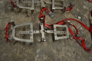 (n-7744/2) Cassin mägironimise kassid