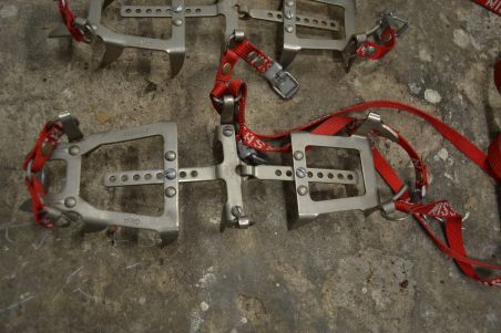 (n-7744/2) Cassin mägironimise kassid