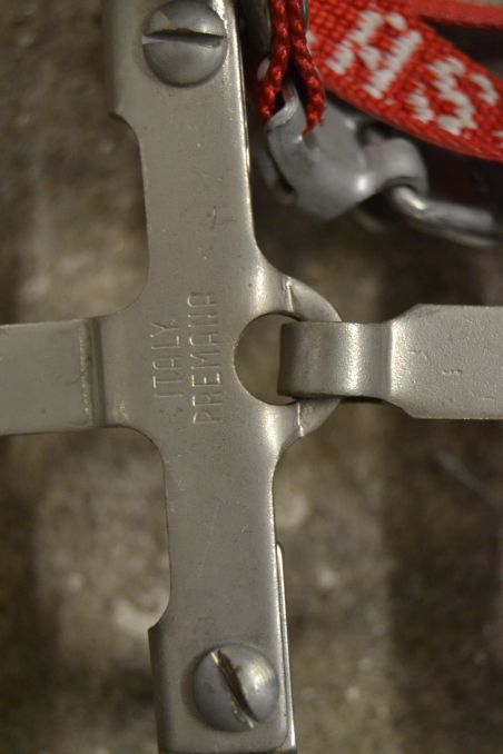 (n-7744/2) Cassin mägironimise kassid