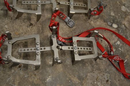 (n-7744/2) Cassin mägironimise kassid