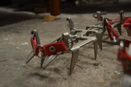 (n-7744/2) Cassin mägironimise kassid