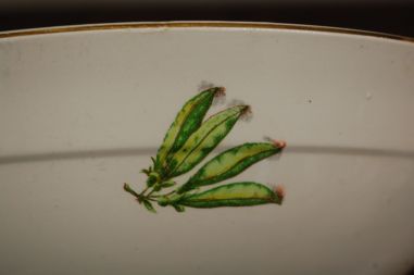 (n-7778) Suur juurviljadega kauss