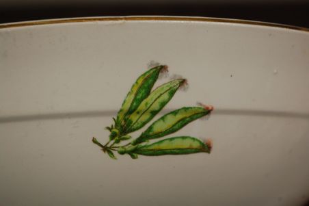 (n-7778) Suur juurviljadega kauss