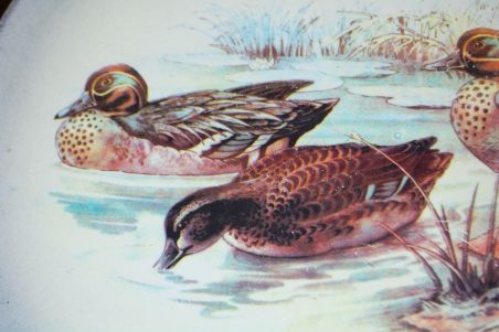 (n-7779) Carm Ceramica ümar vaagen "Pardid"