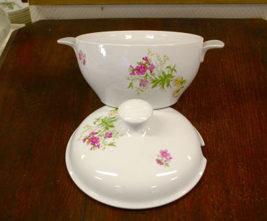 (n-7822) Kahla, taimedega tirin