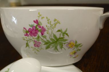 (n-7822) Kahla, taimedega tirin