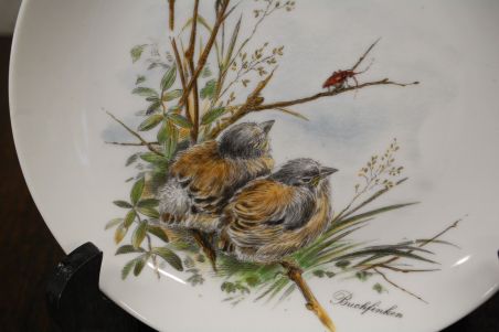 (n-7826) Kaiser, lindudega seinataldrik "Metsvint"