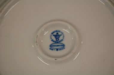 (n-7832) Original Bohemia sibulamustriline sangagega vaagen