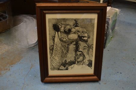 (P-1148) Viiralt, trükirepro Berberi tüdruk kaameliga