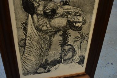 (P-1148) Viiralt, trükirepro Berberi tüdruk kaameliga