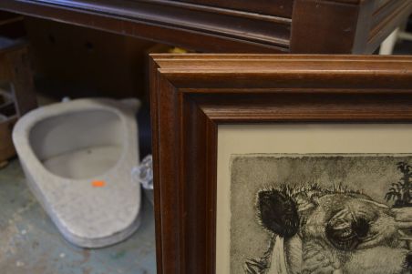 (P-1148) Viiralt, trükirepro Berberi tüdruk kaameliga