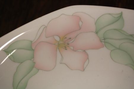 (n-7862/2) Bavaria Seltmann Weiden, õunapuu õitega kauss