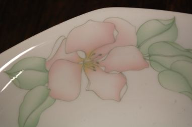 (n-7862/3) Bavaria Seltmann Weiden, õunapuu õitega kauss