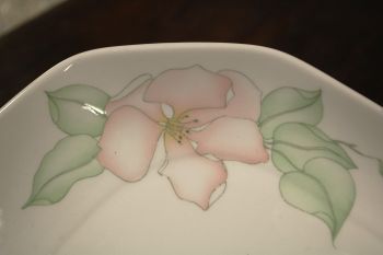 (n-7862/5) Bavaria Seltmann Weiden, õunapuu õitega vaagen 2