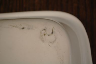 (n-7900/2) Lourioux Porcelaine, taimedega ahjuvorm