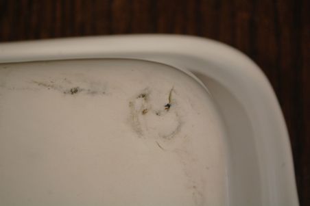 (n-7900/2) Lourioux Porcelaine, taimedega ahjuvorm