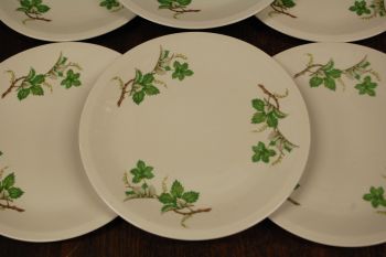 (n-7918/1) Schwarzenhummer, viinamarjaokstega salatitaldrikud, 6tk 2