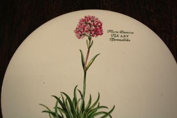 (n-7973/2) H & R Johnson Ldt, taimedega kuumaalus/ lõikelaud 2