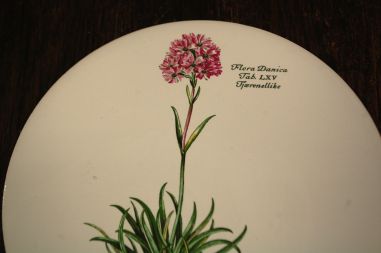 (n-7973/2) H & R Johnson Ldt, taimedega kuumaalus/ lõikelaud
